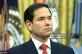 littlemarco