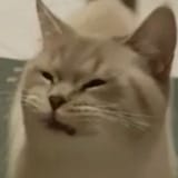 1735285294946005