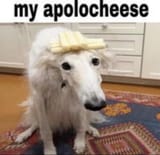 au1zx9z5vo2e1