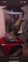 chink makes a cat smoothie6_thumb.jpg