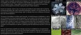 naturalcomplexity