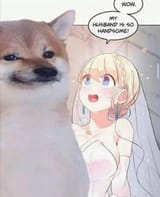 Husband