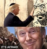 Cowardly scared jewish rat