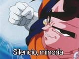 Silence minority