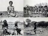 Aboriginals &amp; Dingos