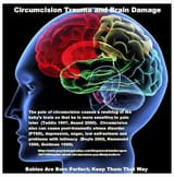 circbraindamage