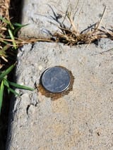 coin-glued-road
