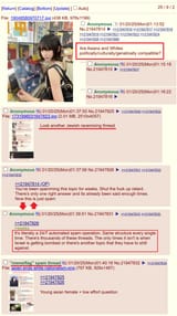 Asian female memeflag comments