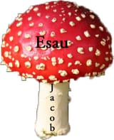 jacobesau