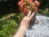1726430843056371