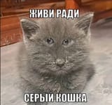 IMG_0202