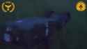 Ukraine’s military intelligence has launched production of LEGIT combat ground robots. Mainly used to supply front line troops 29-06-2025 HD_thumb.jpg