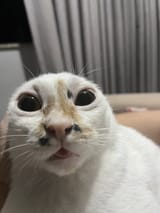 FdmeQZiXEAIz8pI