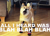 giphy (1)
