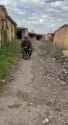 Meanwhile, Russian heroes are having fun riding a kids’ bike. 29-06-2025 HD_thumb.jpg