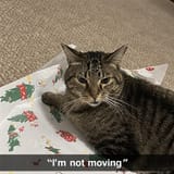 c7987678568587658765456654