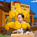 sneed fvd