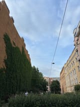 IMG_0139