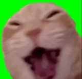1751285582627131