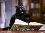 salem