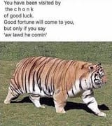 1740002498550895