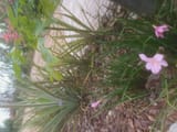 IMG_20250630_092415235
