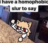 neco_arc_lgbt_gay_i_have_homophobic_slur_to_say