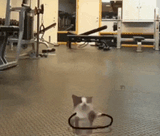 exercise