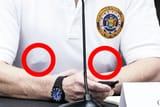 cuomo the homo
