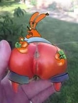 krabby_poosy