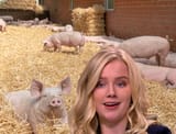 Piglet4