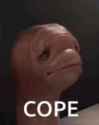 1751203761353_thumb.jpg