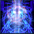 alphamalecore