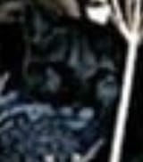 Screenshot_20250630_111000_Brave