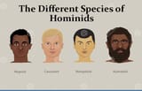 species_of_hominids