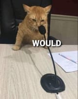 would