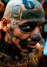 illegal ms13 nigger