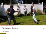 1733067599496299