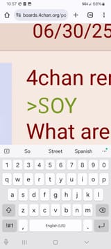 Screenshot_20250630_105705_Chrome