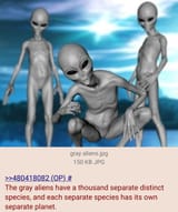 gray alien segregation