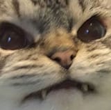 118157646_2767529826851675_2885248163926148480_n
