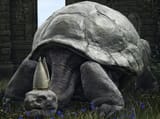 i-realized-today-turtle-pope-is-unique-in-another-way-v0-ppclsikjlptc1