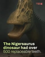 1751302084871316