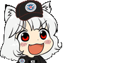 Awoo for ICE Drones