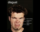 micro-expression-disgust