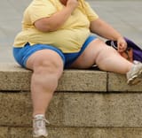 obeseamerican