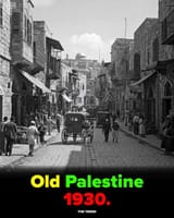 PAlestinett