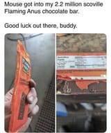 1750160600217155