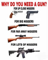 why do you need a gun nigger edition