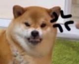 1748764081506707